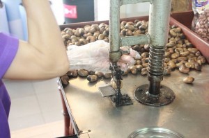 10441396_1657054234512165_247102322693771678_n