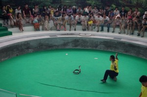 1929854_1657926827758239_4014224634562433242_n