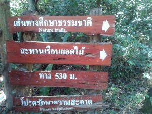 ทริปตรัง กระบี่_6072